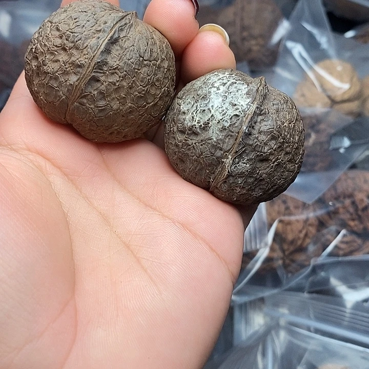 文玩核桃把件8号40mm