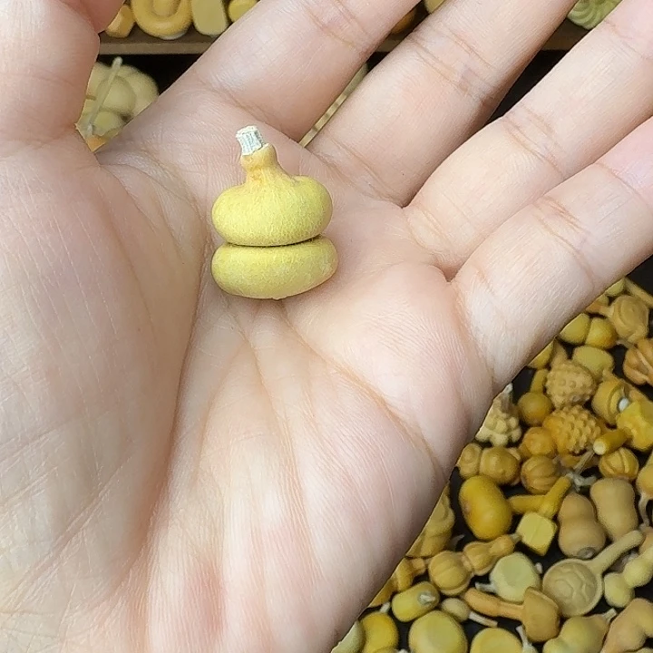 月***儿葫芦笙是个小妖精哦打得挺