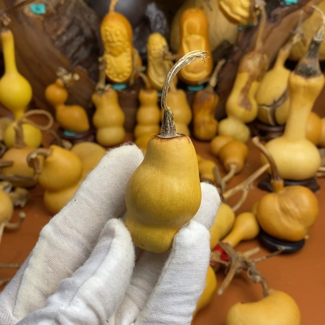 璞***緣教练咯教练咯教练咯