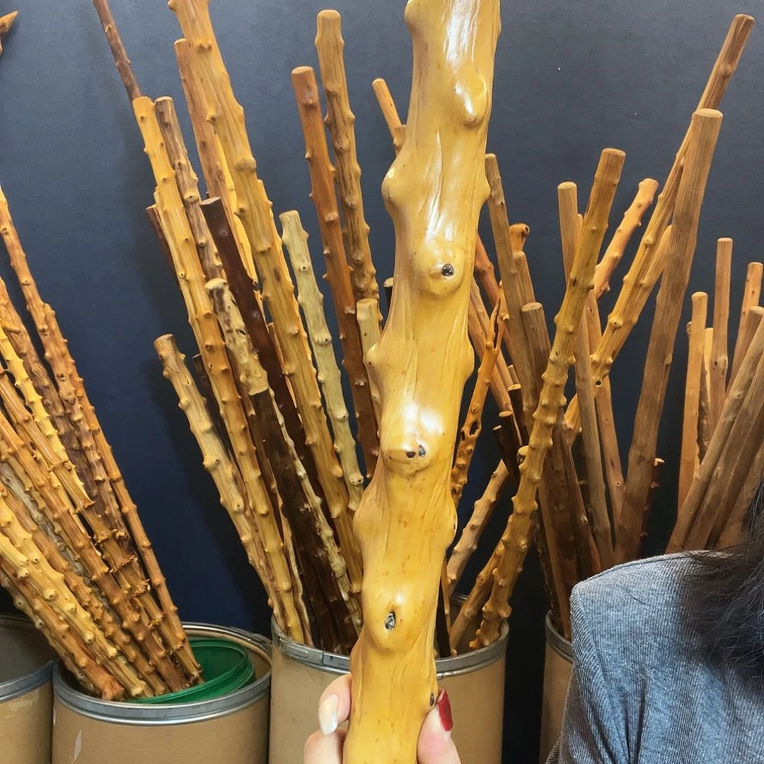 用***5好好好好好好好好好好好