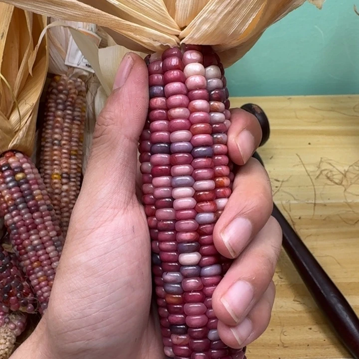 米***夏柏香籽/百香籽吊坠