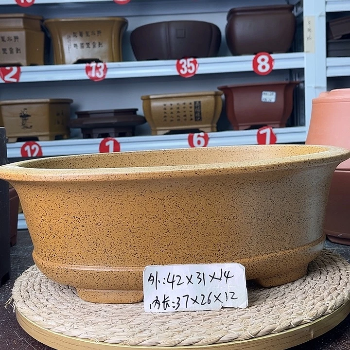 紫砂花盆你在一起