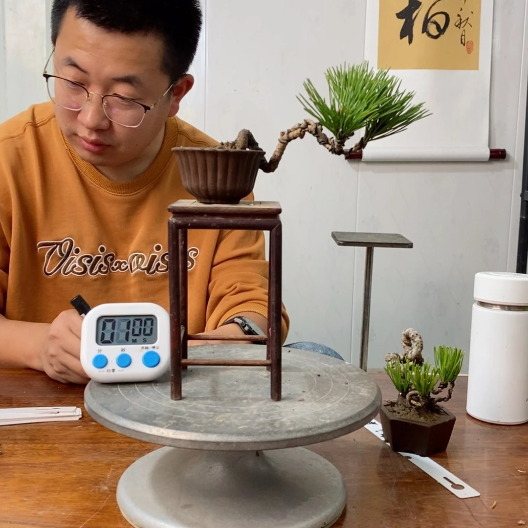 手工艺品琉璃叶*强