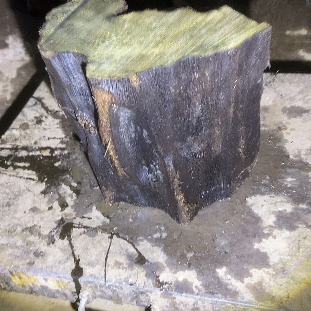 金丝楠阴沉木毛料