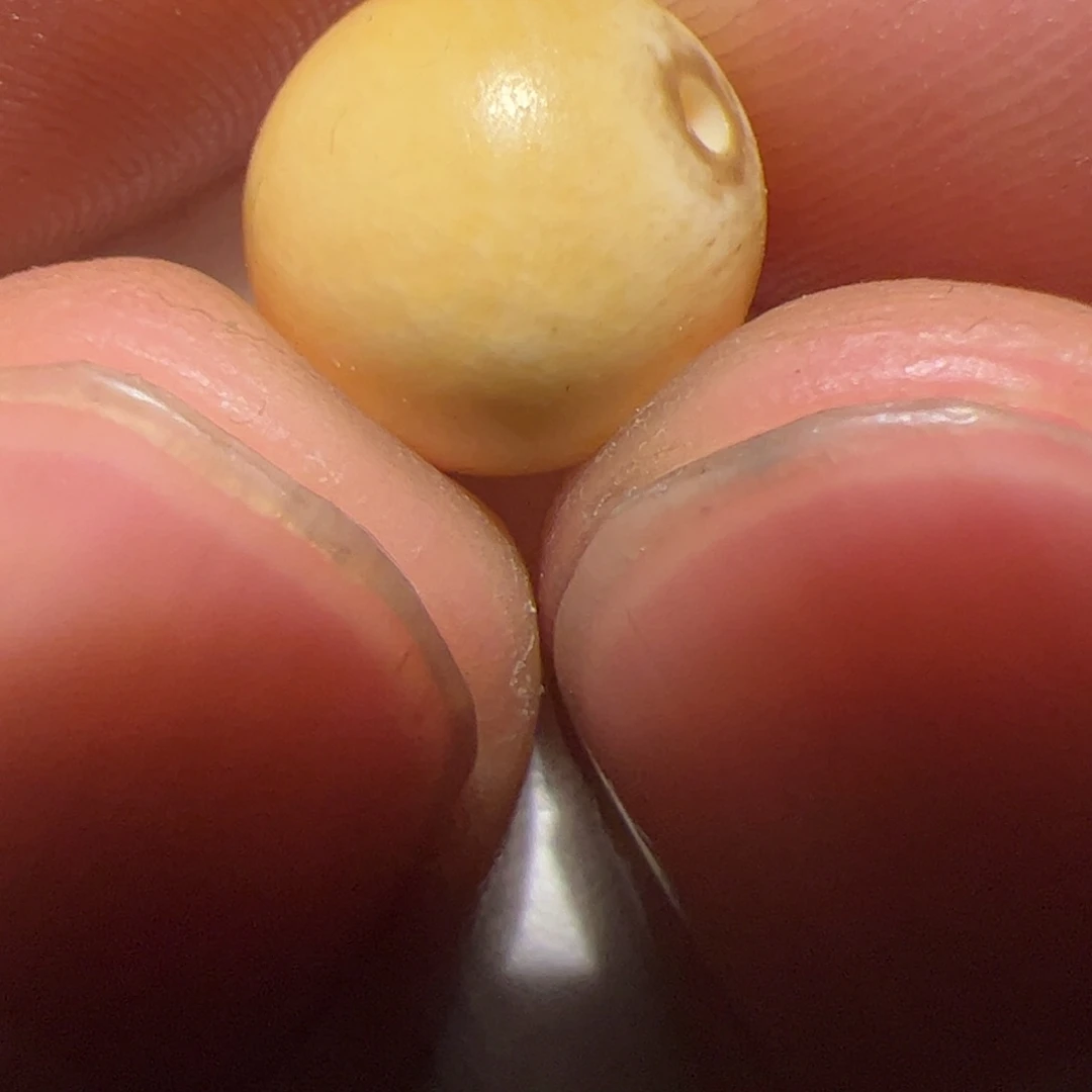 颈饰玻璃你的人是我