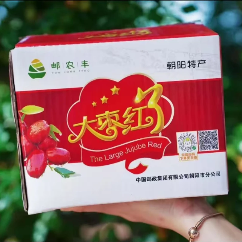 【辽宁省内拍】朝阳金铃大枣2KG新鲜采摘脆甜多汁精品包装现摘现发