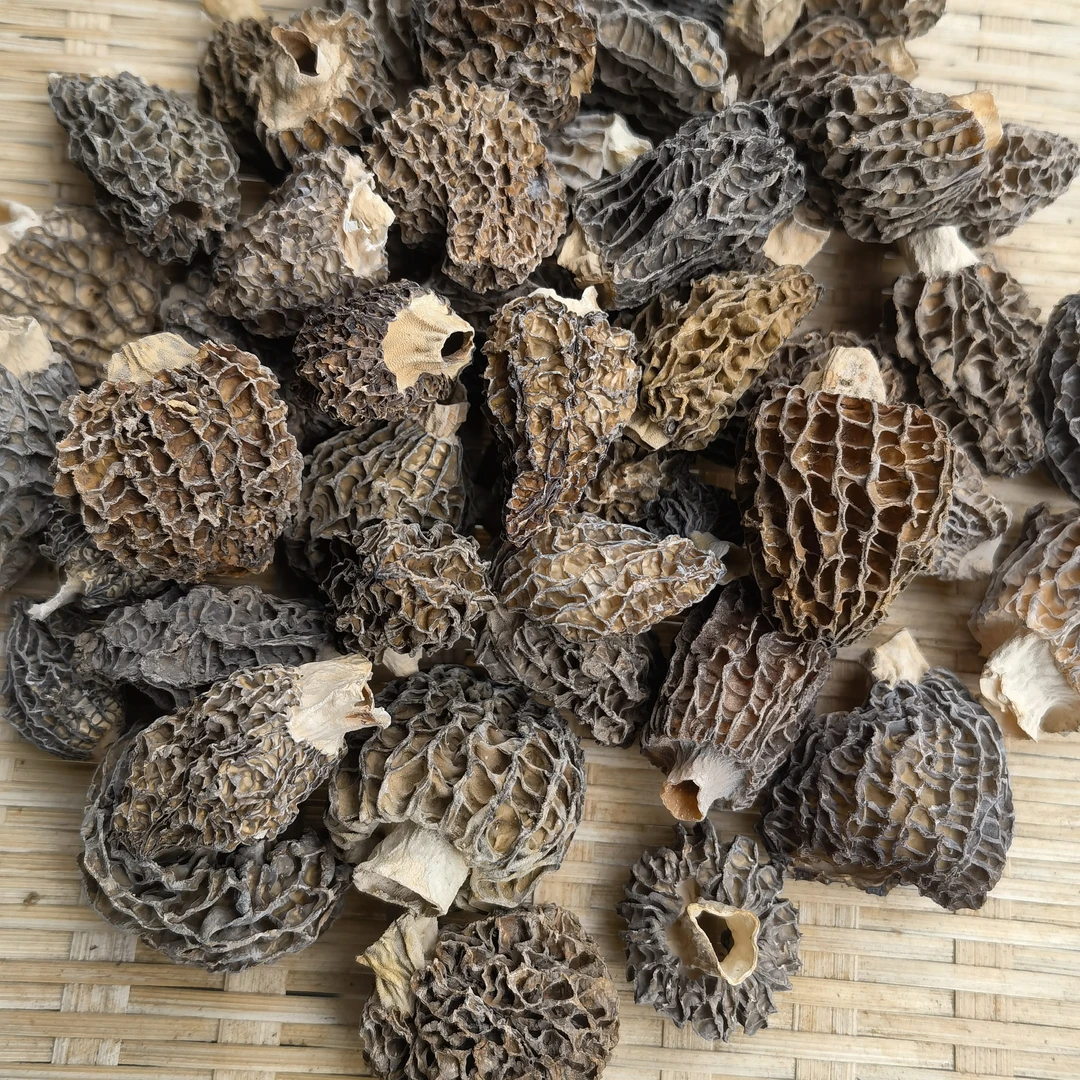 云南土特产山货阿红臻选～高山羊肚菌～煲汤佳品150g