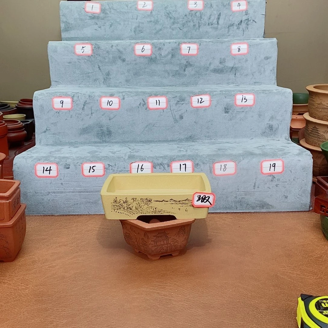 紫砂花盆我在看书