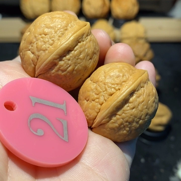 核桃金龟子32尺寸核桃