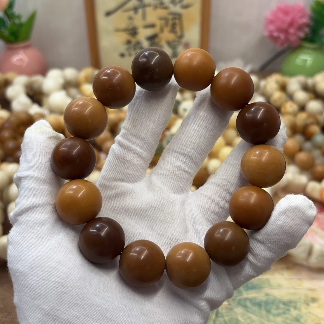 吊坠菩提根/象牙果20干磨瑕疵落地果099