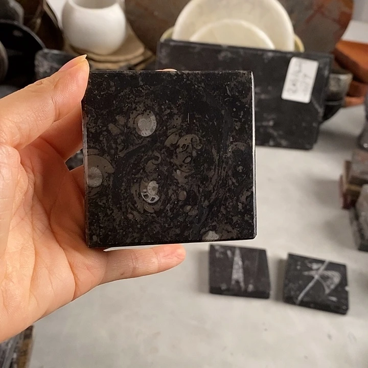 冒***L化石杯垫角石化石