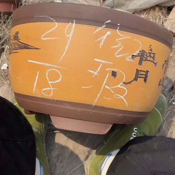 紫泥花盆紫砂花盆