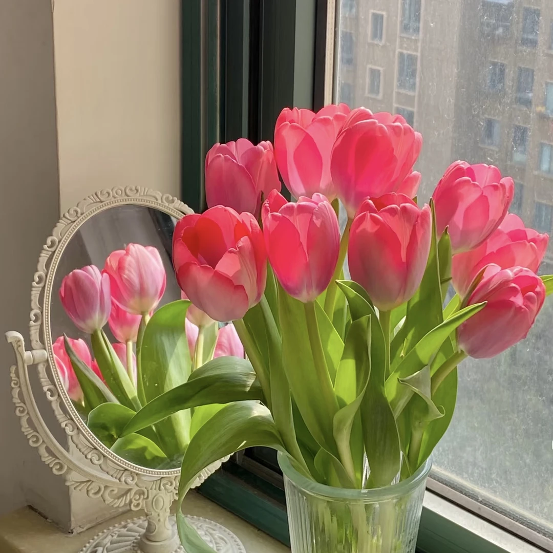 【方德】10枝方德嫣然郁金香 小花苞30cm会长个【两单顺丰或京东】