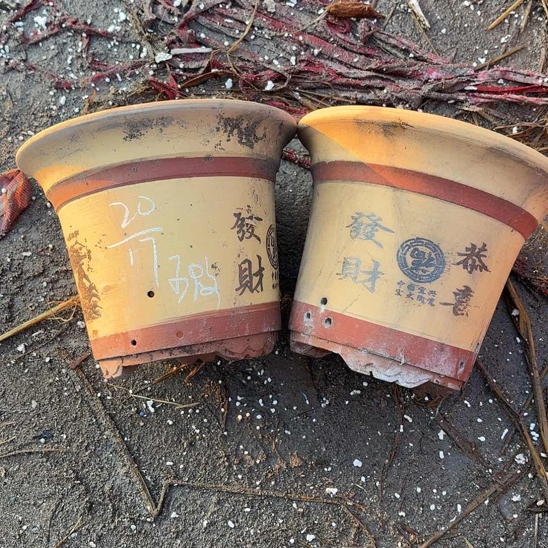 宜兴紫砂花盆，现货发