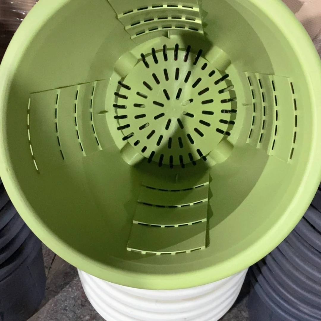 茜**廖3个32口果绿三代青山瑕疵无托（32×29）