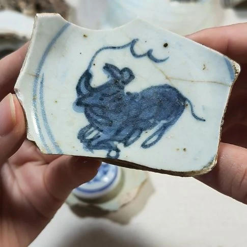 瓷片瓷片瓷片瓷片瓷片
