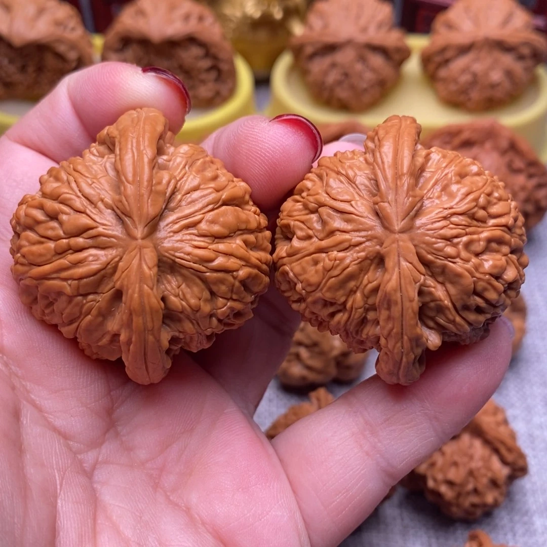 文玩核桃把件毕业白狮子45尺全品