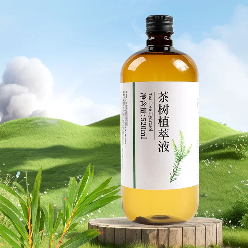 (淼淼)茶树植萃液(一瓶520ml,内有分链接)