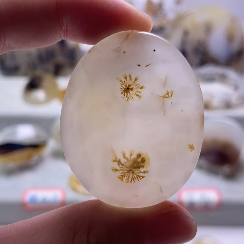 【闪购商品】未镶嵌玛瑙/玉髓珠宝奇石