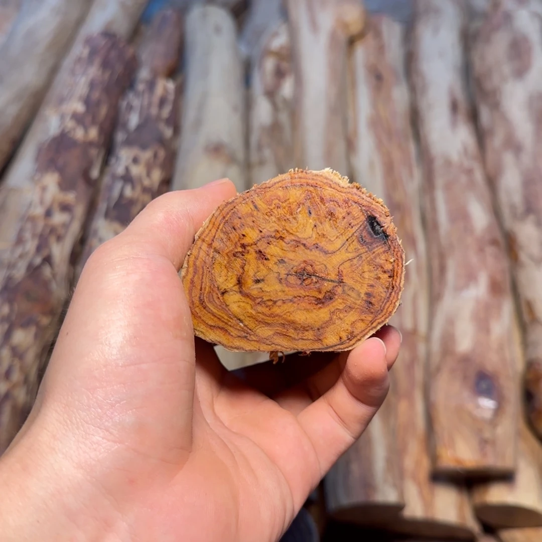 北***门黄花梨/降香黄檀海南黄花梨