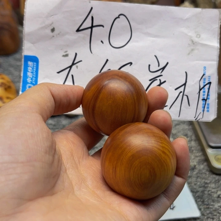 柏木（崖柏）崖柏134