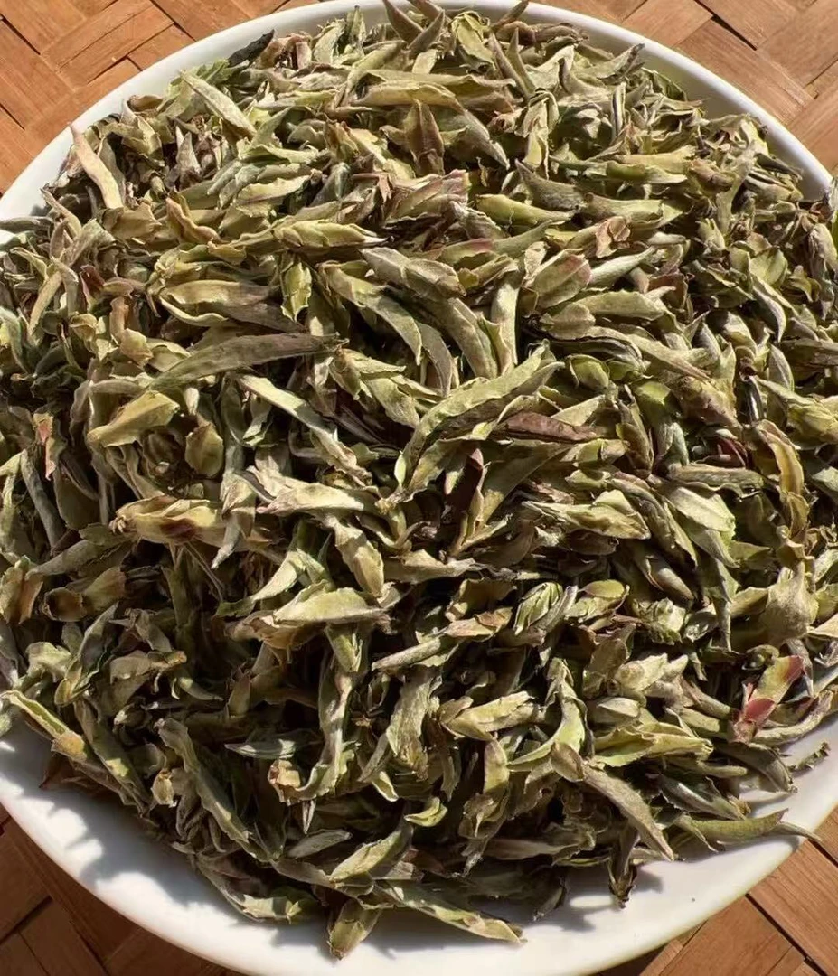 云南野生古树白茶紫芽苞