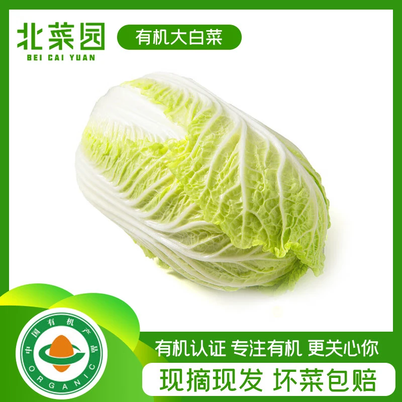北菜园有机大白菜500g