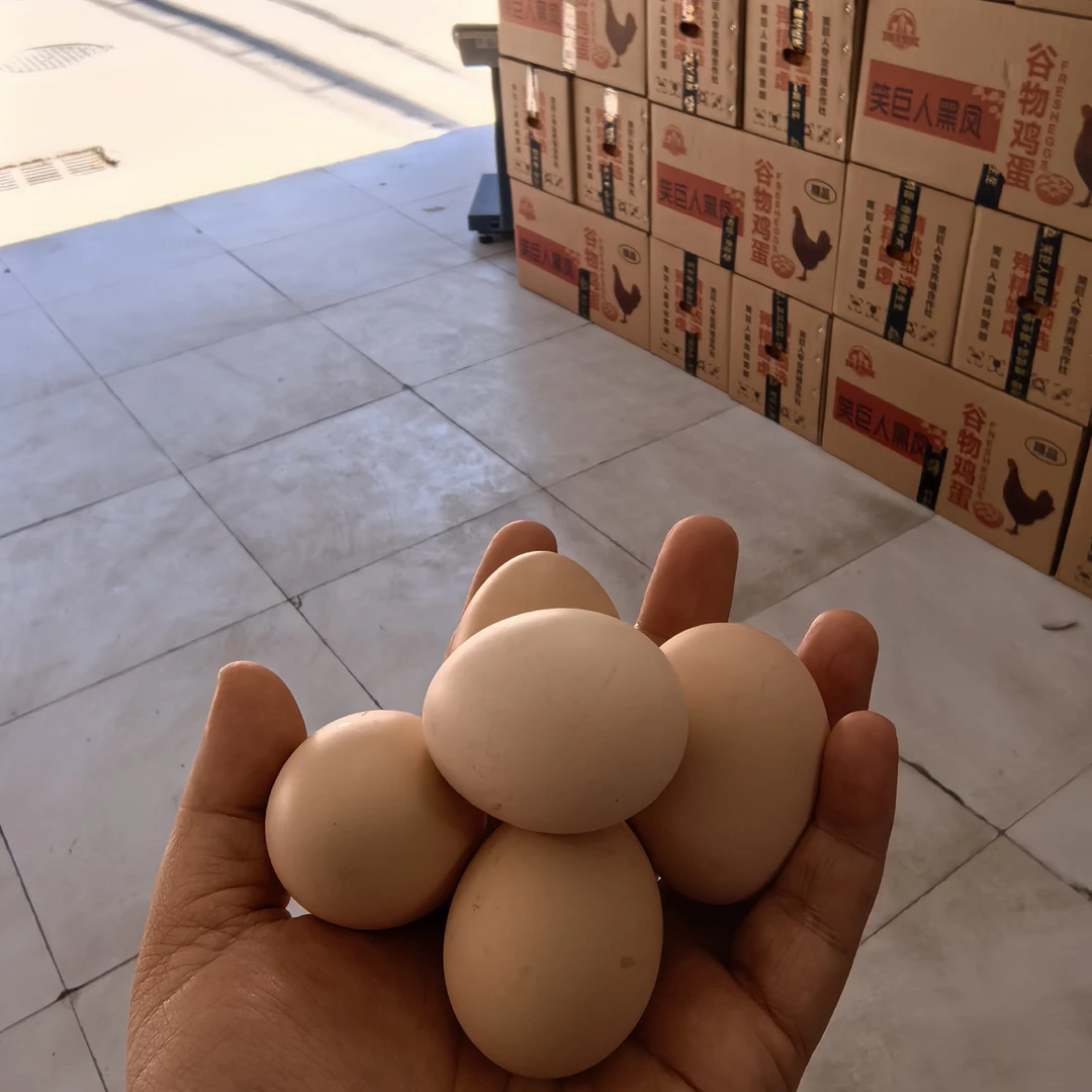 小个黑凤鸡蛋韭菜新鲜农家放养粉壳土鸡蛋生鸡蛋开产蛋草鸡蛋