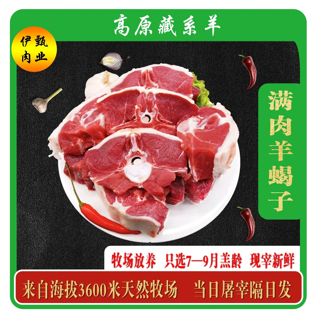 【高原藏系羊】——满肉羊蝎子