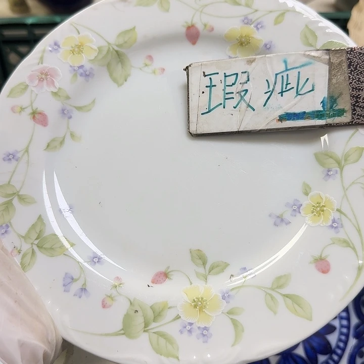 瓷片开播啦…开播啦