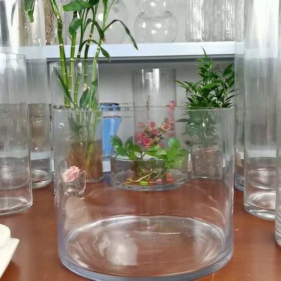 玻璃昌达玻璃直筒高度20口径25