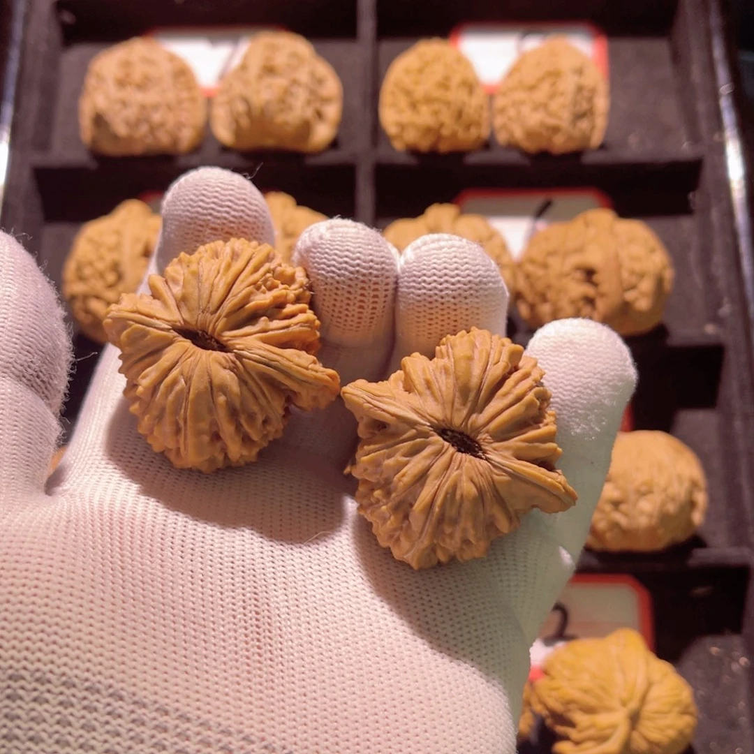 具*化秦皇岛山地果全品