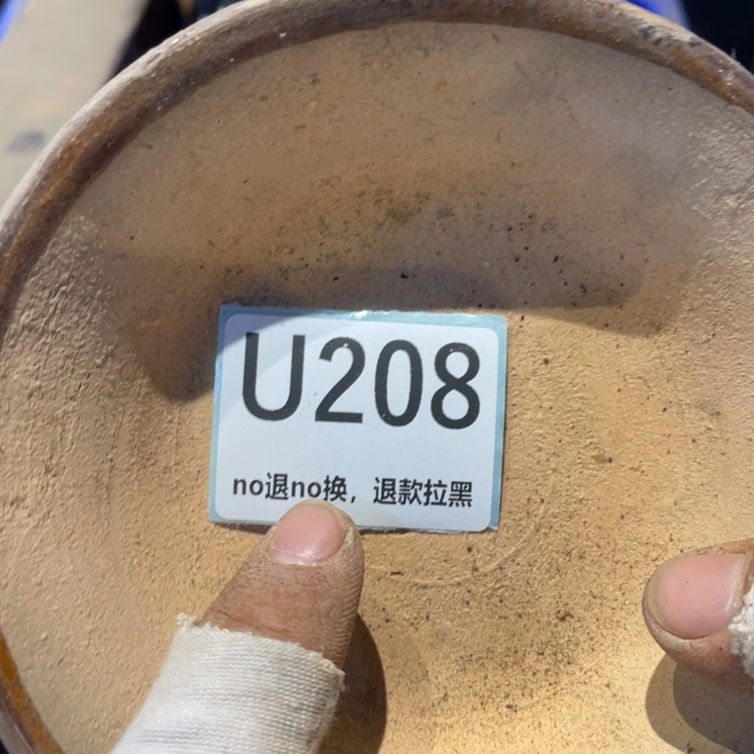 呆***也瓷片表弟链接火爆热卖热卖