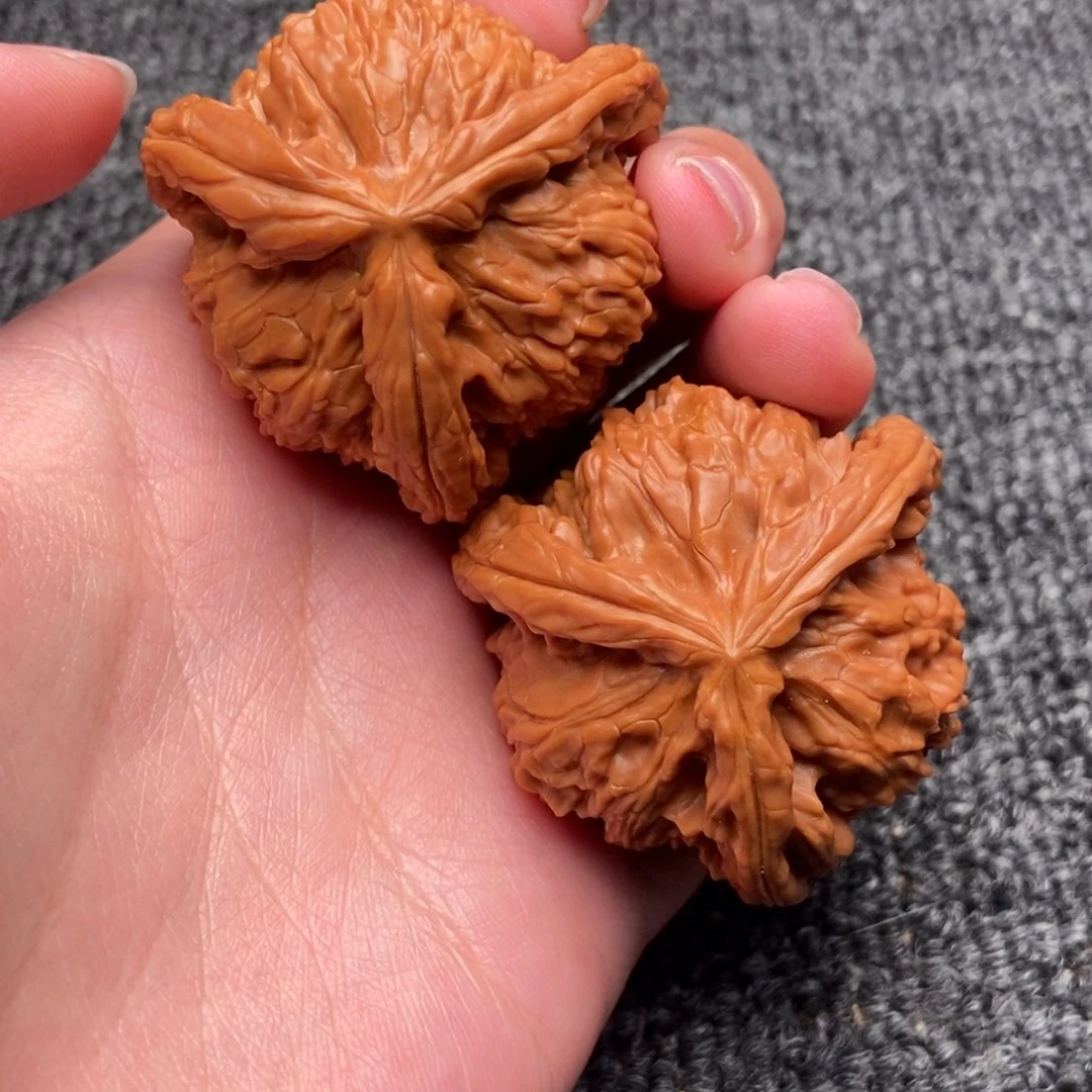 果***子木质类白狮子正奔