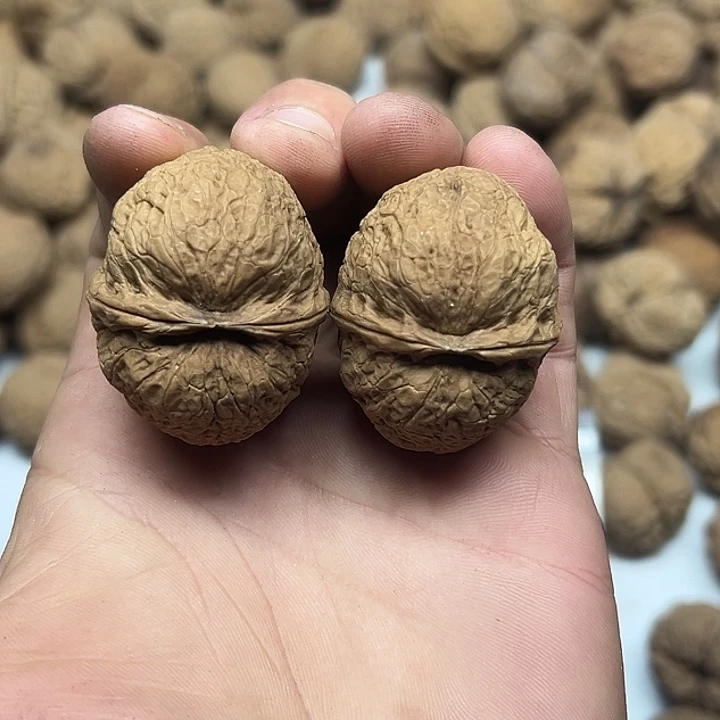 文玩核桃把件24号滑皮元宝41号