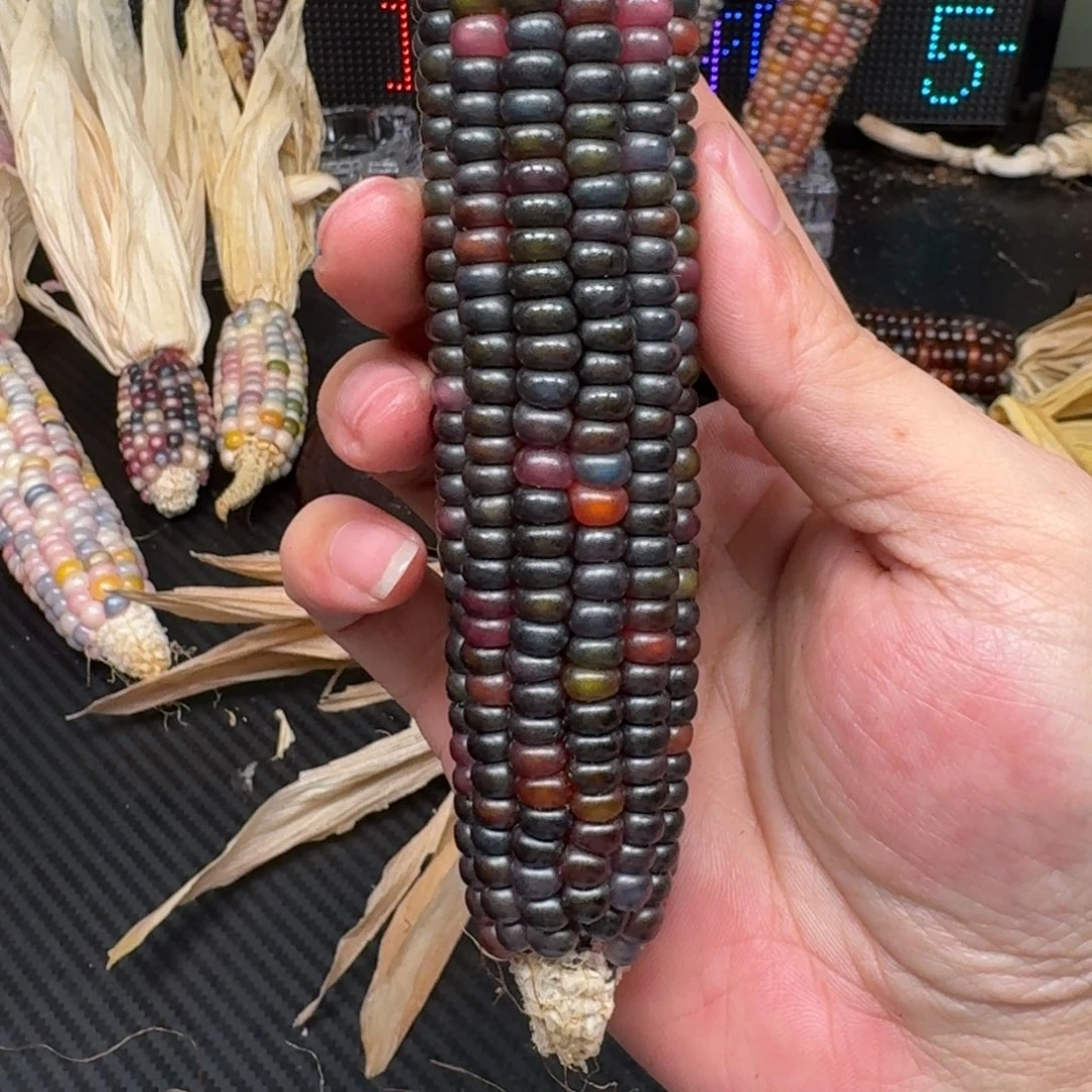 柏香籽/百香籽吊坠忘***山