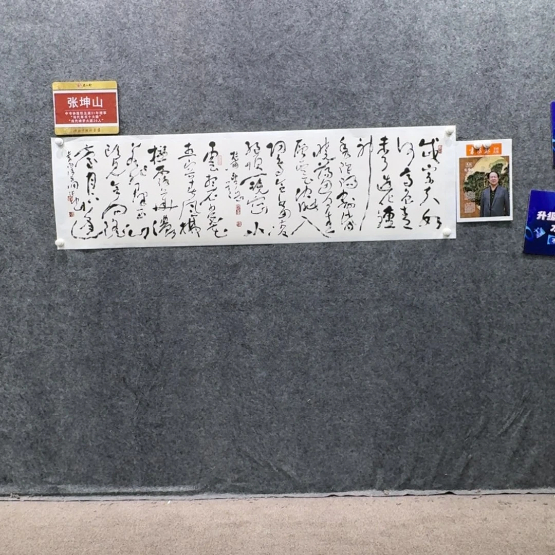 书法书法ZKS老师作品