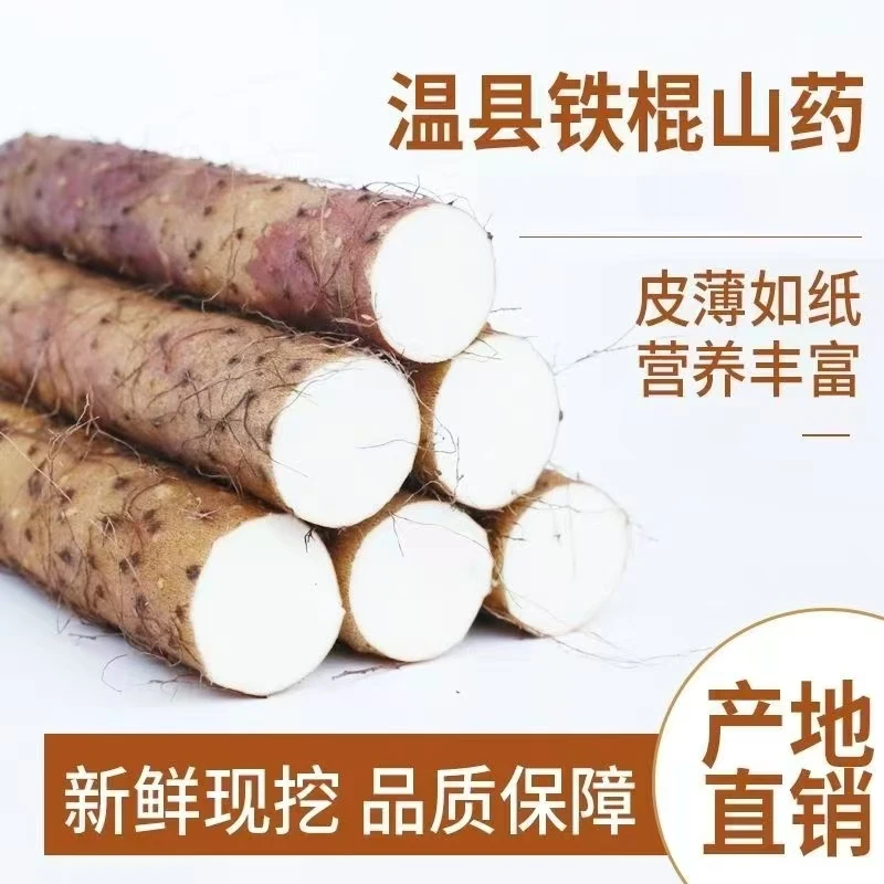 河南温县垆土铁棍山药正宗铁棍怀山药2025新鲜原产地直发3斤5斤装
