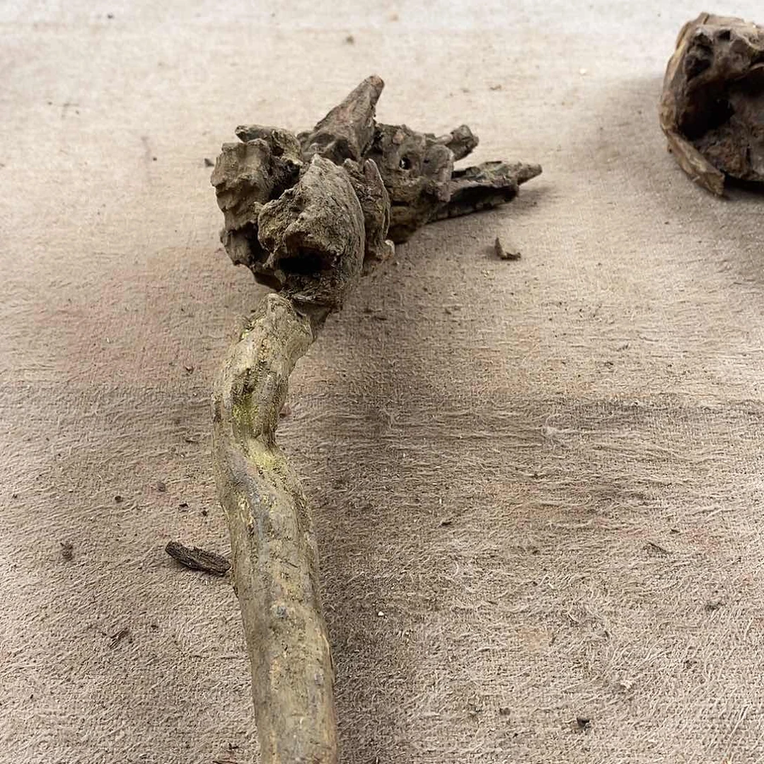 木狼黄花梨随形料子