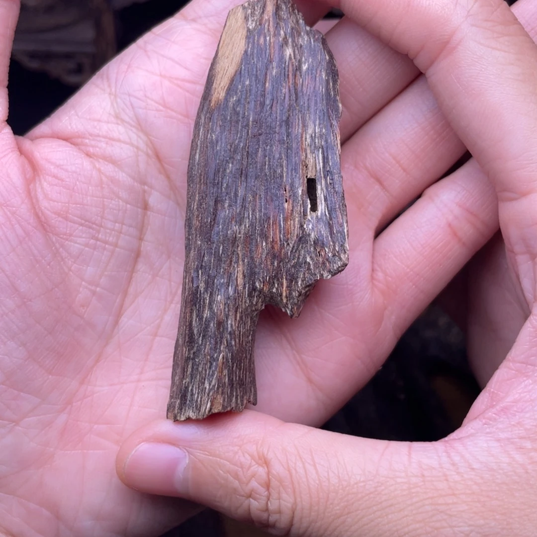 香榧木海南临高黑油虫漏3.9克