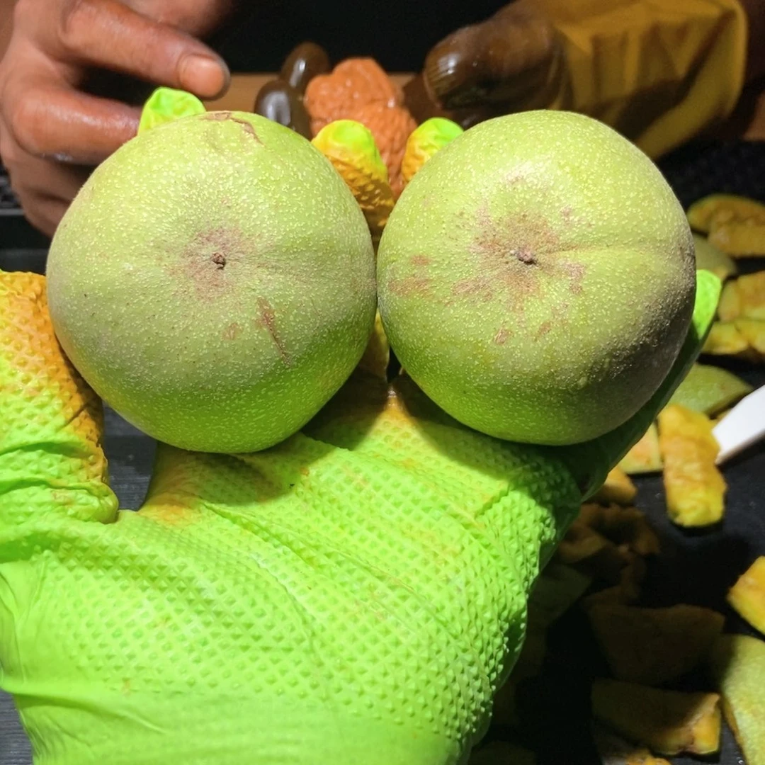 南瓜墩啥也不保不退不换