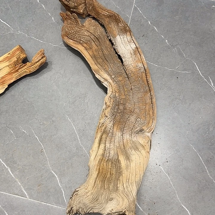 优***耐香榧木vs把少男少女少男少女的呢