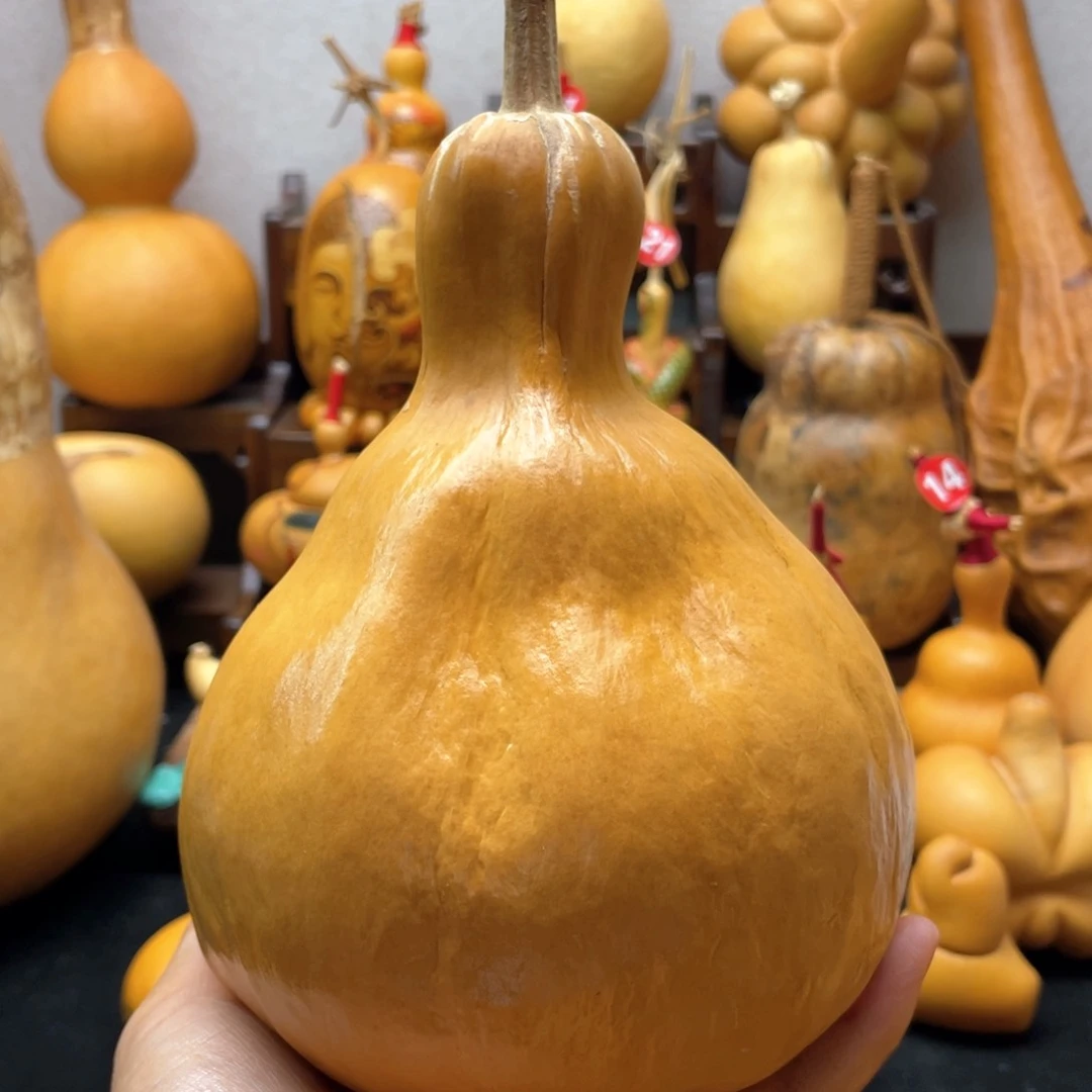 ?****谓大自然的秘密第十一章第一