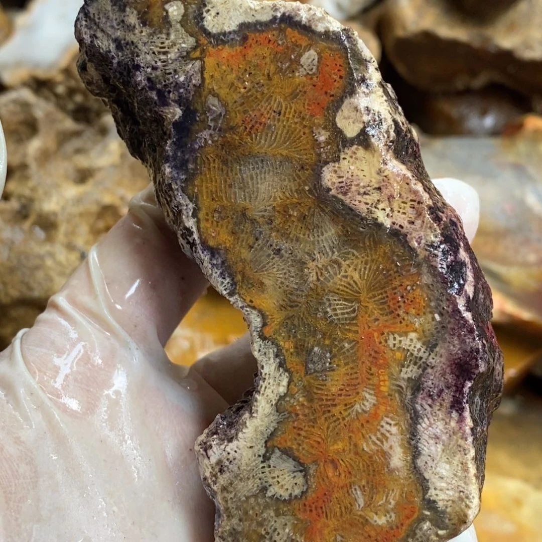 【闪购商品】硅化玉颈饰未镶嵌