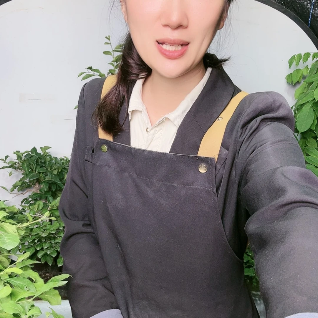 【闪购商品】无花朵