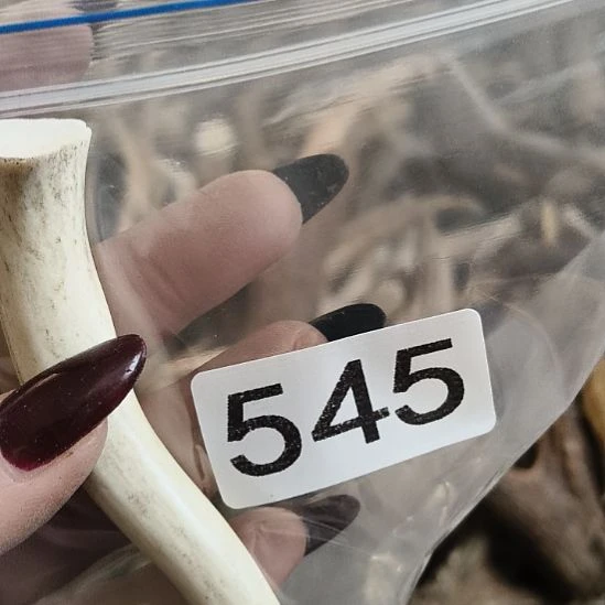 *****鹿角鹿角鹿角鹿角鹿角鹿角