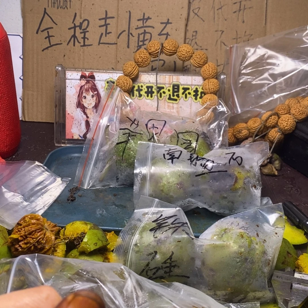 zwf产地直发霸王龙5