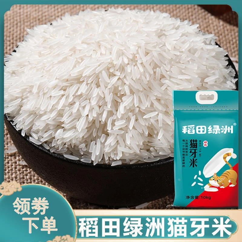 稻田绿洲猫牙米长粒香米象牙新米晚稻丝苗米煲仔饭蛋炒饭煮饭大米