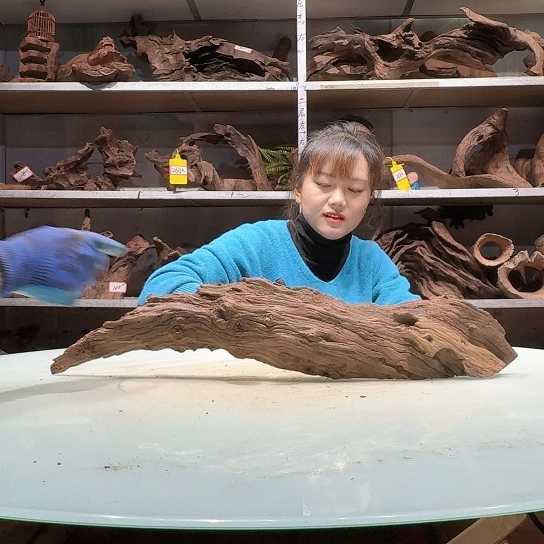 鑫品沉木不包损必褪色水*6467