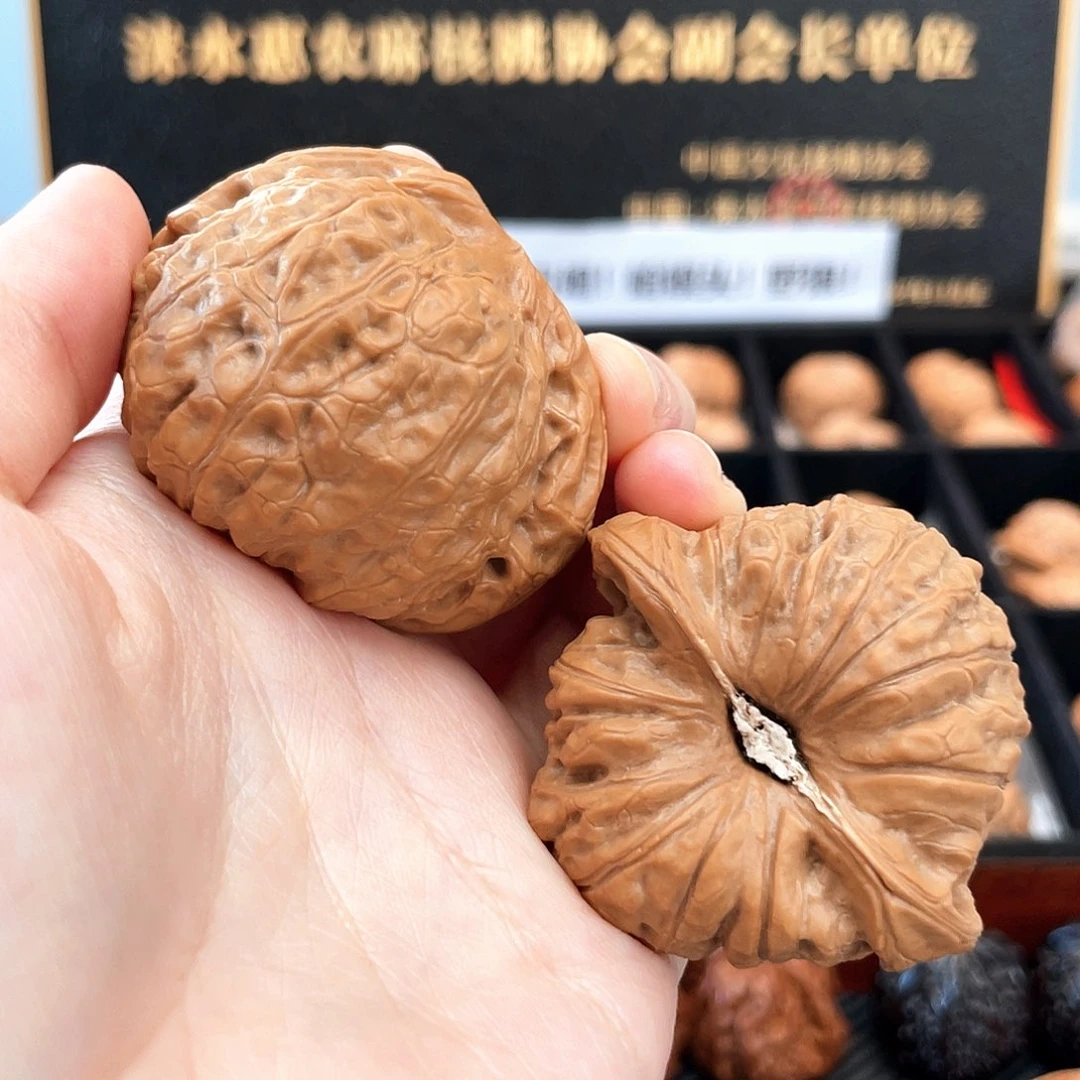 把件文玩核桃只给大手盘石膏底51尺超大尺寸全品红南瓜深凹